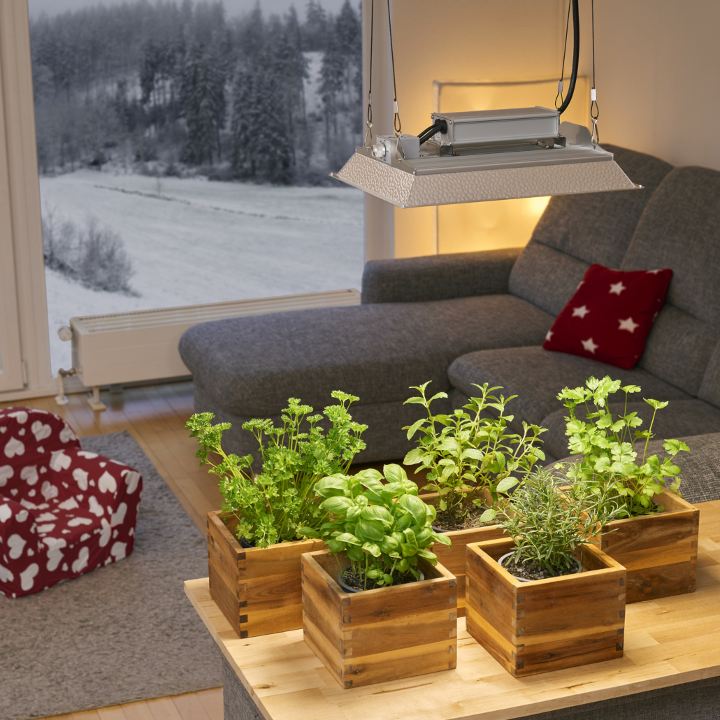LED-Pflanzenlampe FLORIS LED-Pflanzenlampe FLORIS