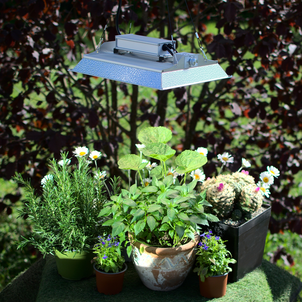LED-Pflanzenlampe FLORIS LED-Pflanzenlampe FLORIS
